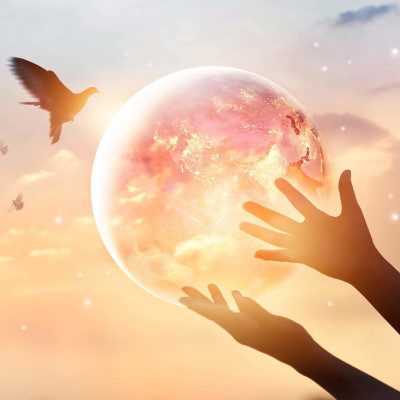 Bonus-Service-a-la-Terre